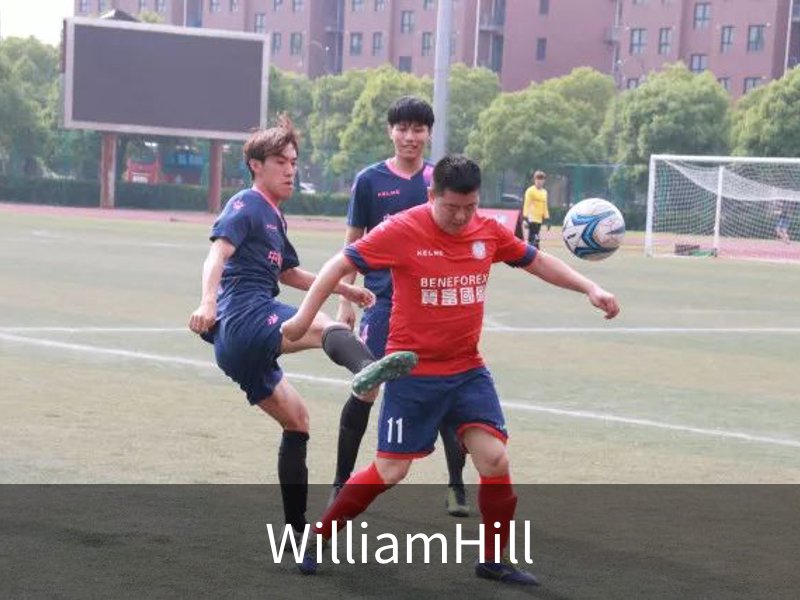 WilliamHill介绍